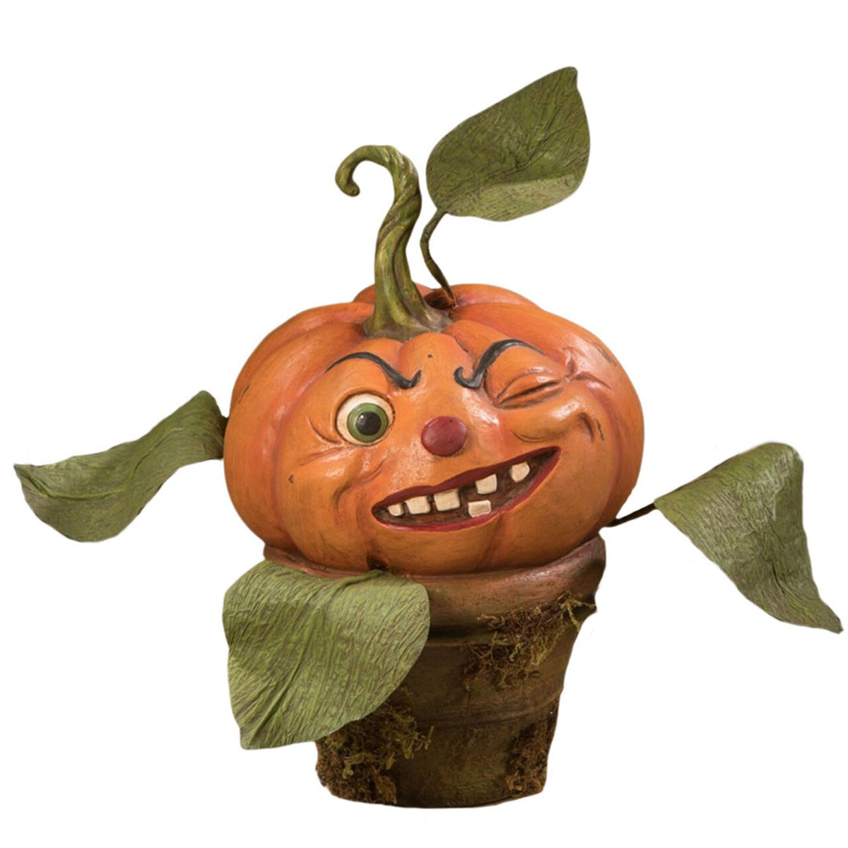 Cheeky Pumpkin Perennial 15" – 50% OFF FLASH SALE